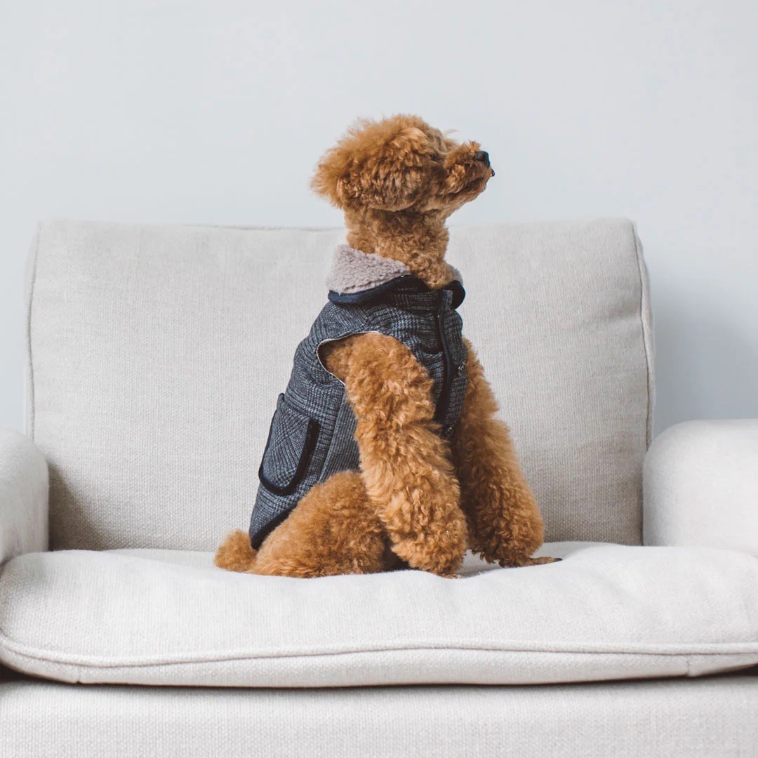 GLEN CHECK TWEED COAT | 格倫格紋花呢大衣 / 炭灰