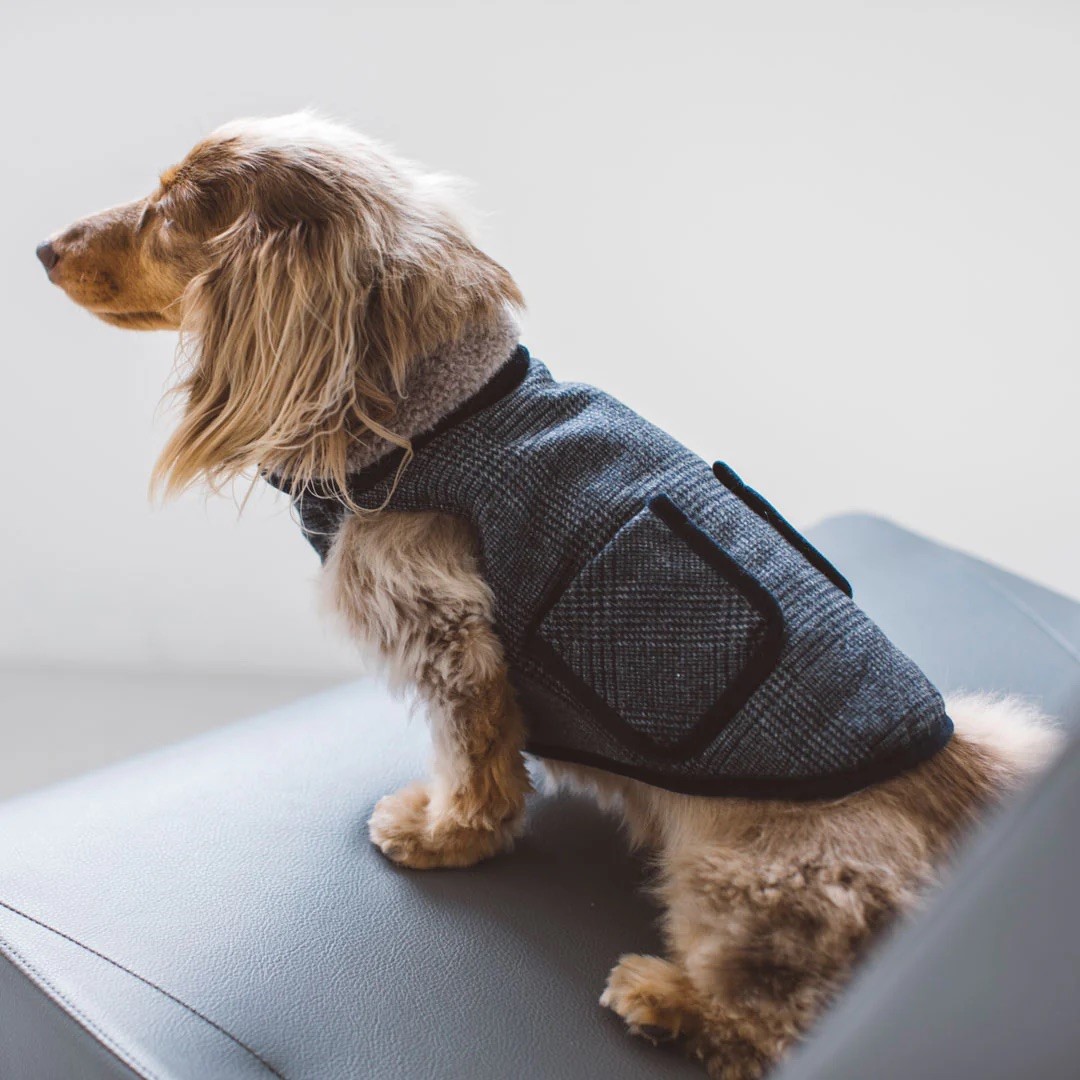 GLEN CHECK TWEED COAT | 格倫格紋花呢大衣 / 炭灰