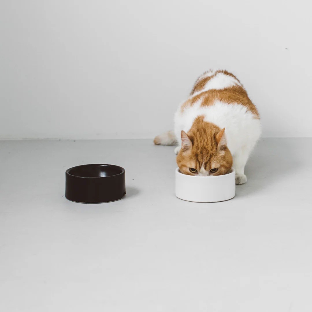 PORCELAIN DOG BOWL |  簡約陶瓷碗