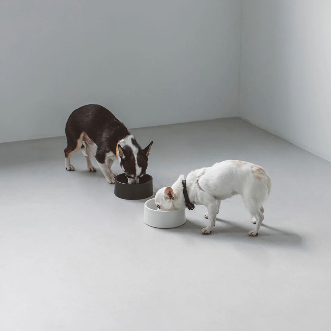 PORCELAIN DOG BOWL |  簡約陶瓷碗