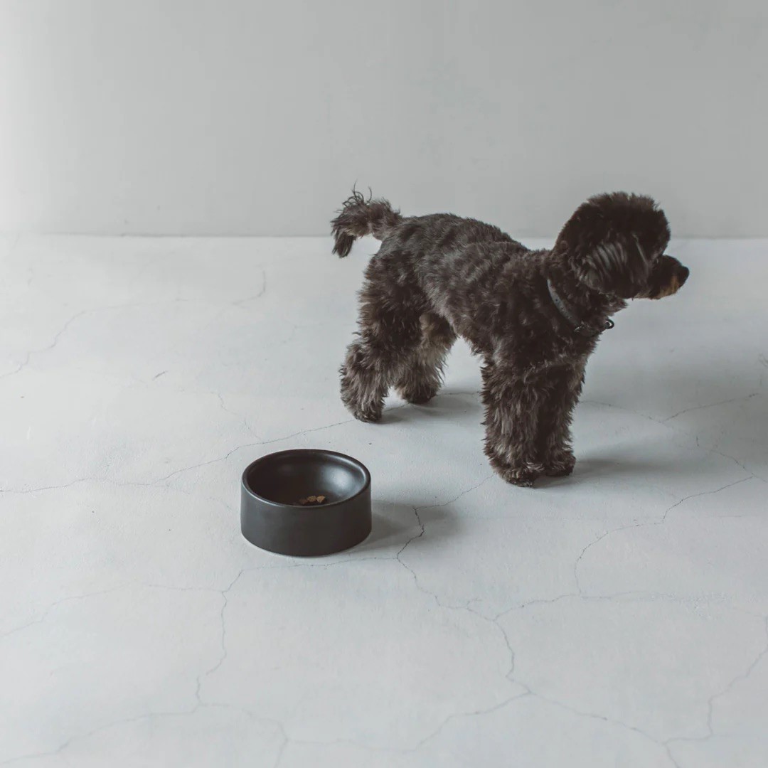 PORCELAIN DOG BOWL |  簡約陶瓷碗