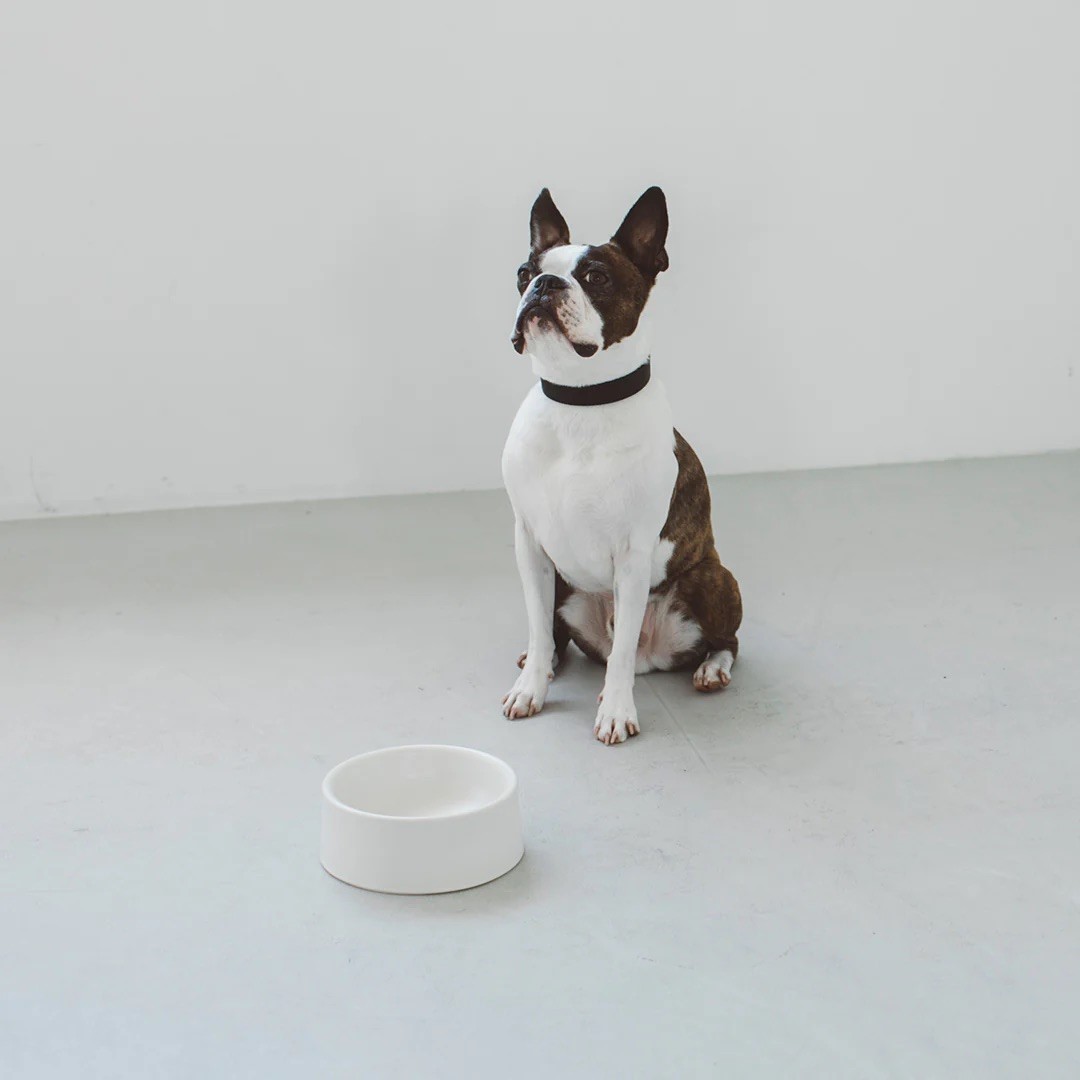 PORCELAIN DOG BOWL |  簡約陶瓷碗
