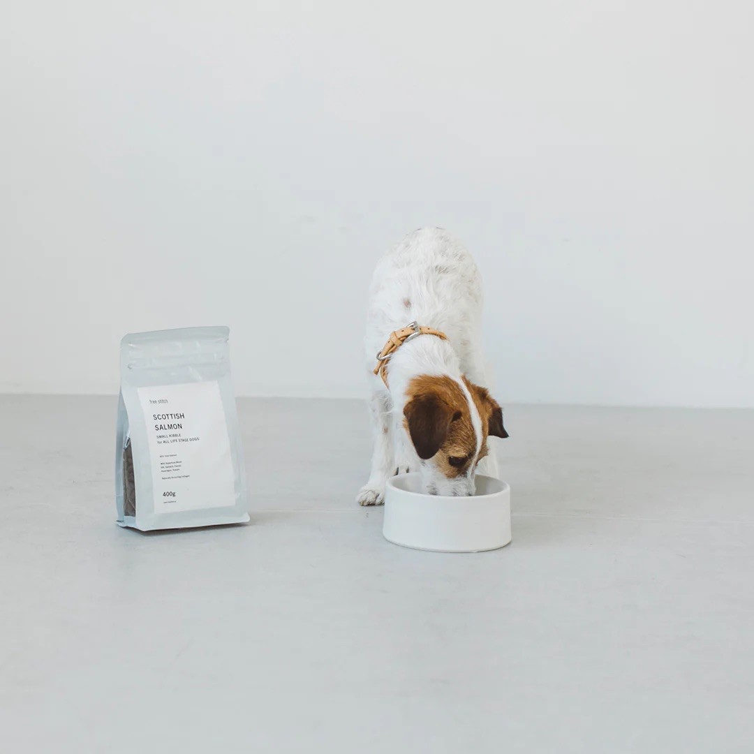 PORCELAIN DOG BOWL |  簡約陶瓷碗