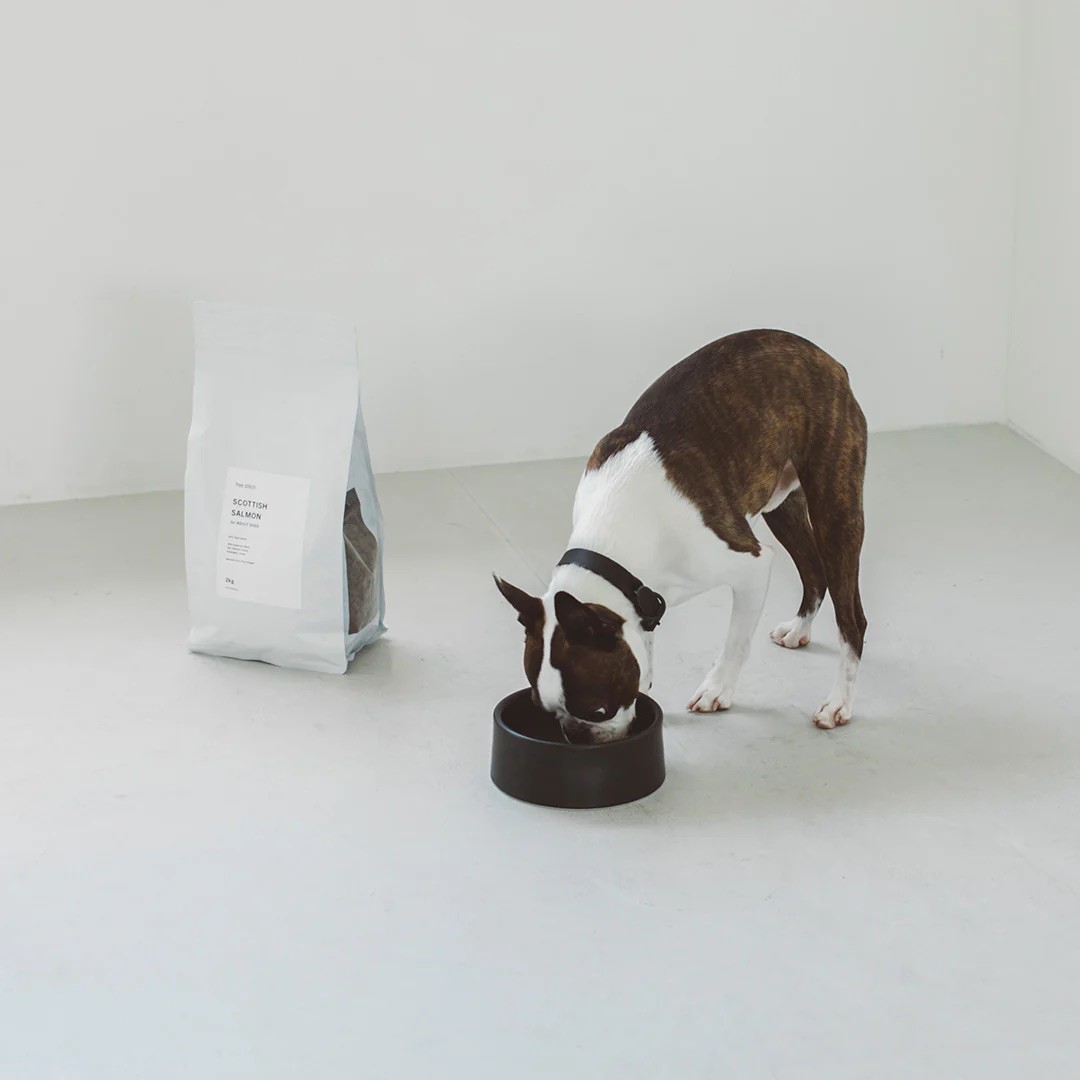 PORCELAIN DOG BOWL |  簡約陶瓷碗