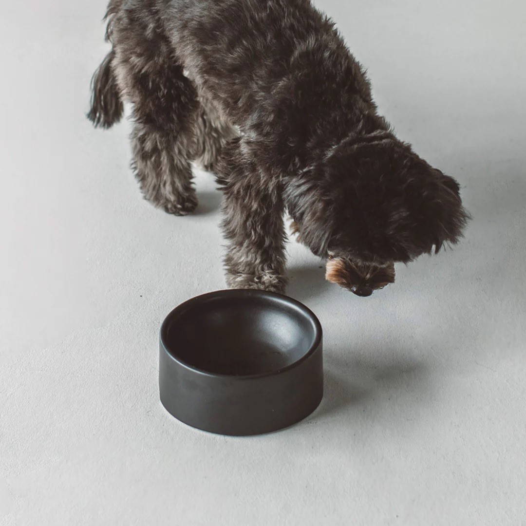 PORCELAIN DOG BOWL |  簡約陶瓷碗