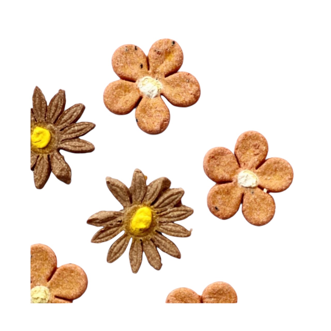 Chicken Floret Biscuits | 雞肉小花餅乾