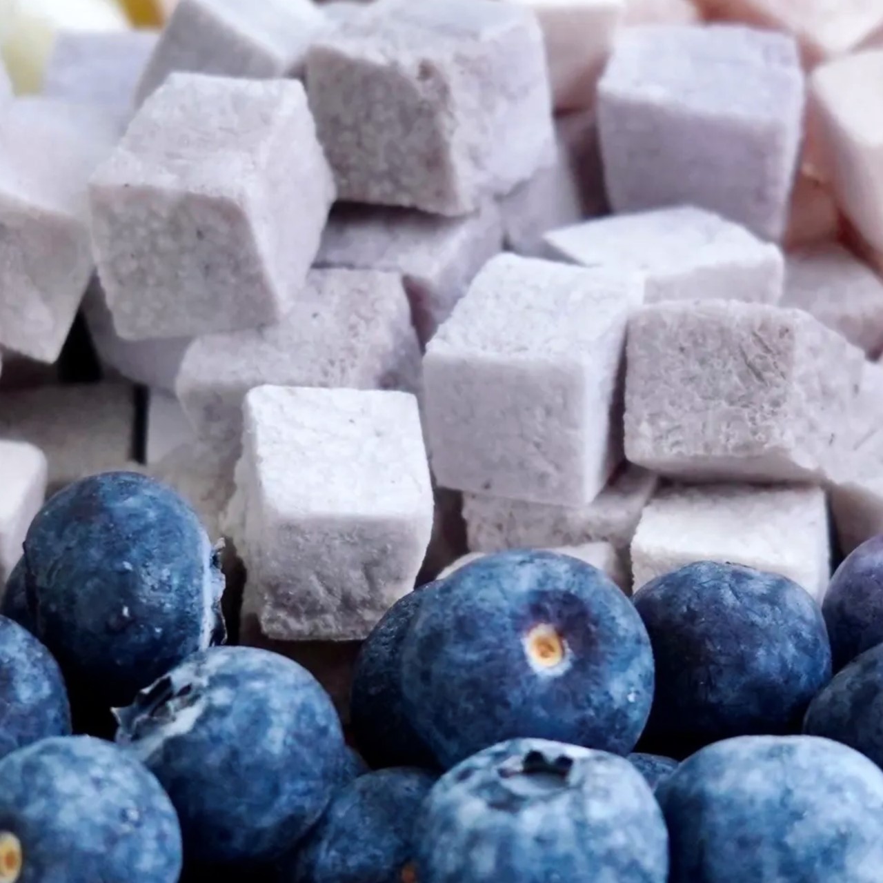 冷凍乾燥 藍莓羊奶凍 Blueberry Goat Milk Cube