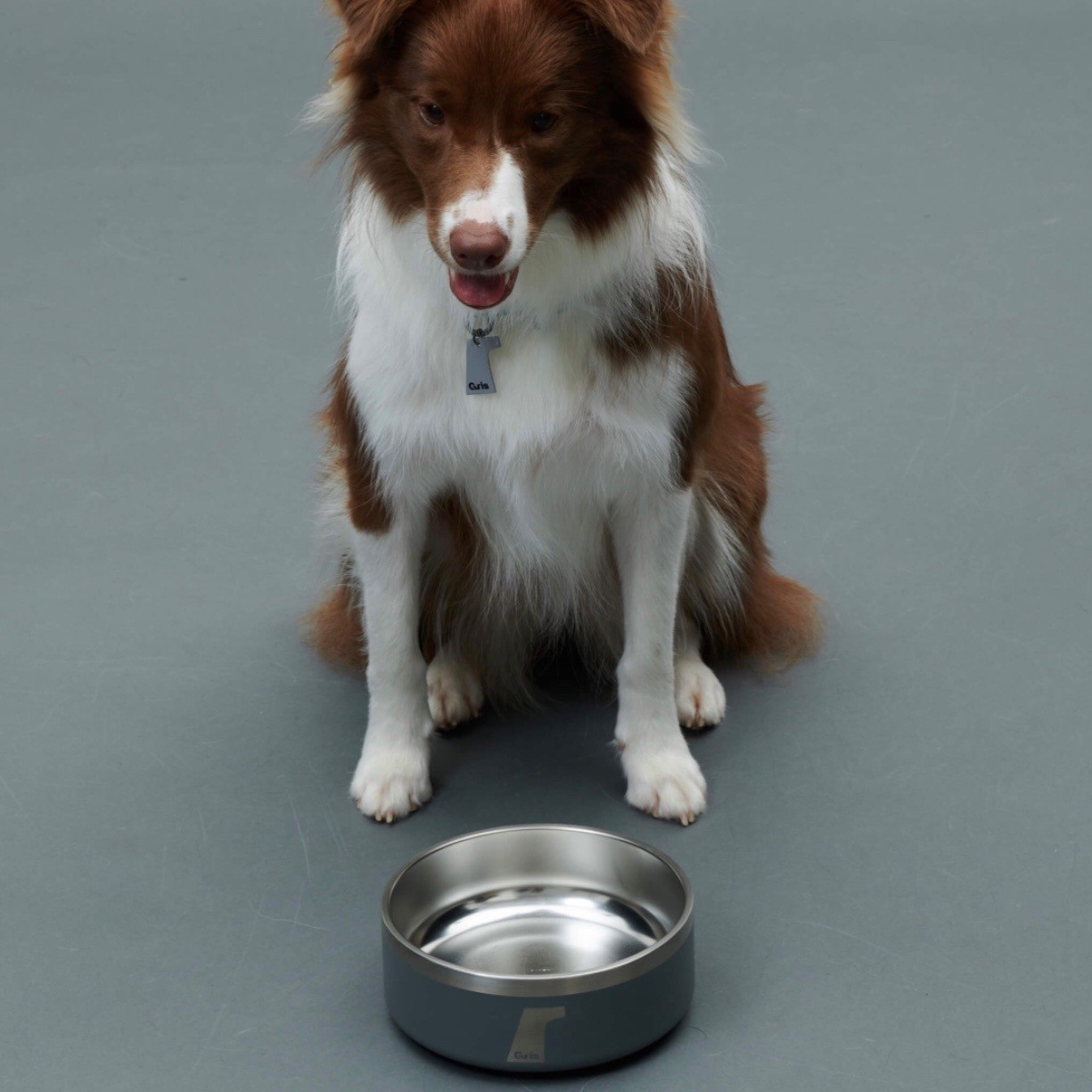 GRIS   DW BOWL SILVER  |  雙層不銹鋼寵物碗