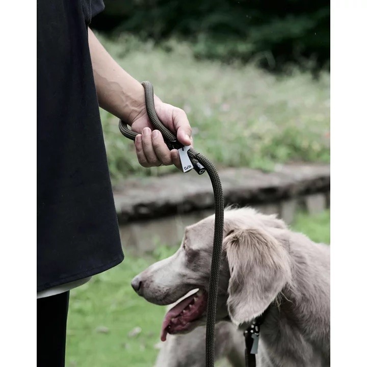GRIS THE LEASH WEIMARANER GREY  | 牽引繩／威瑪軍綠