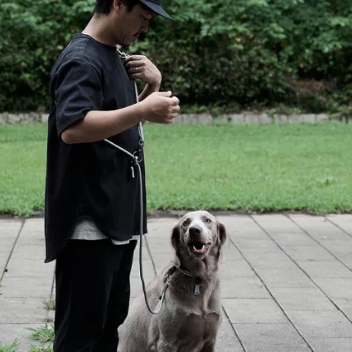 GRIS THE SHOULDER LEASH LIMESTONE  | 斜背式牽繩／灰