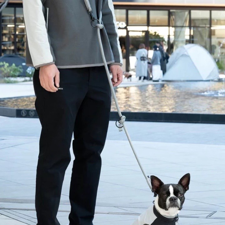 GRIS THE SHOULDER LEASH LIMESTONE  | 斜背式牽繩／灰