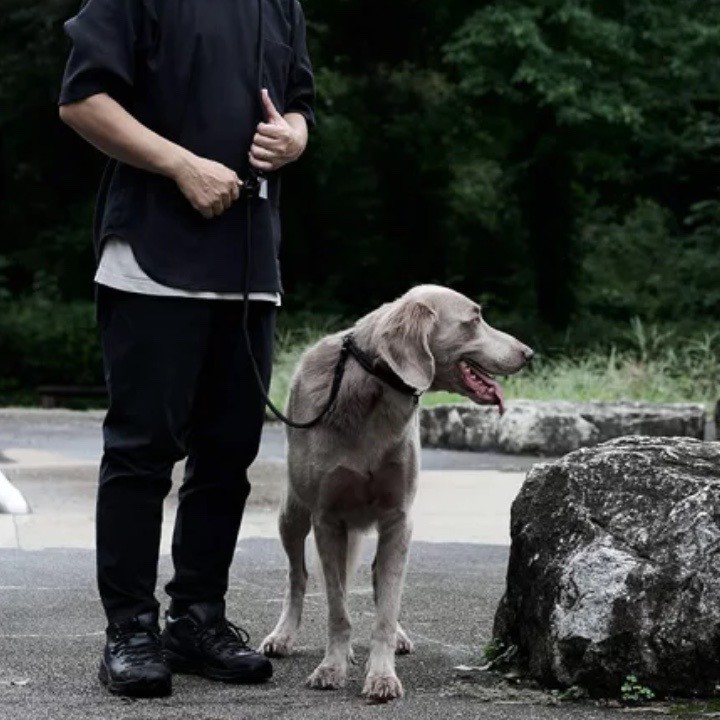 GRIS THE SHOULDER LEASH PEAT BLACK| 斜背式牽繩／黑
