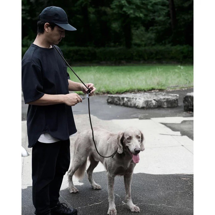 GRIS THE SHOULDER LEASH WEIMARANER GREY  | 斜背式牽繩／威瑪軍綠