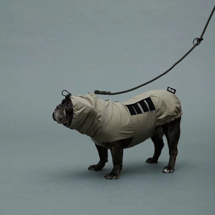 GRIS THE SHOULDER LEASH WEIMARANER GREY  | 斜背式牽繩／威瑪軍綠