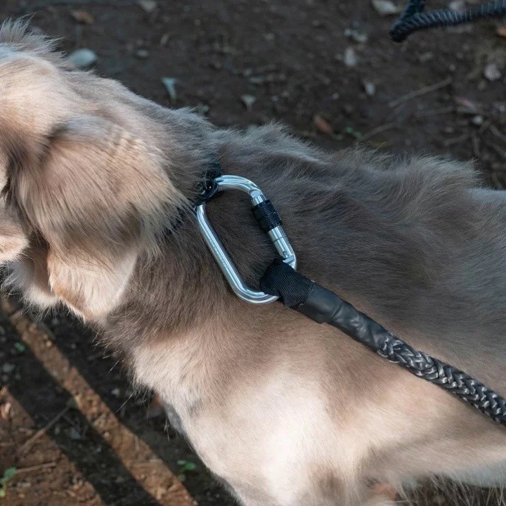 GRIS WINCH LEASH INDUSTRIAL GREY | 迪尼瑪繩 強力牽繩／炭黑