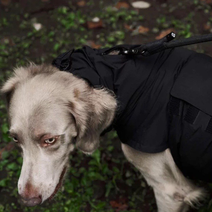GrisLITE RAIN COAT II PEAT BLACK | 輕量雨衣 ／黑