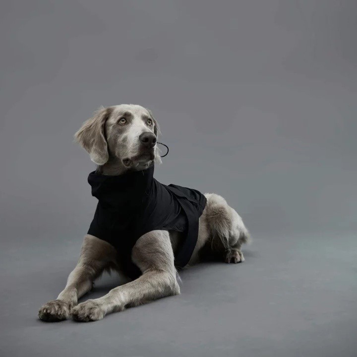 GrisLITE RAIN COAT II PEAT BLACK | 輕量雨衣 ／黑