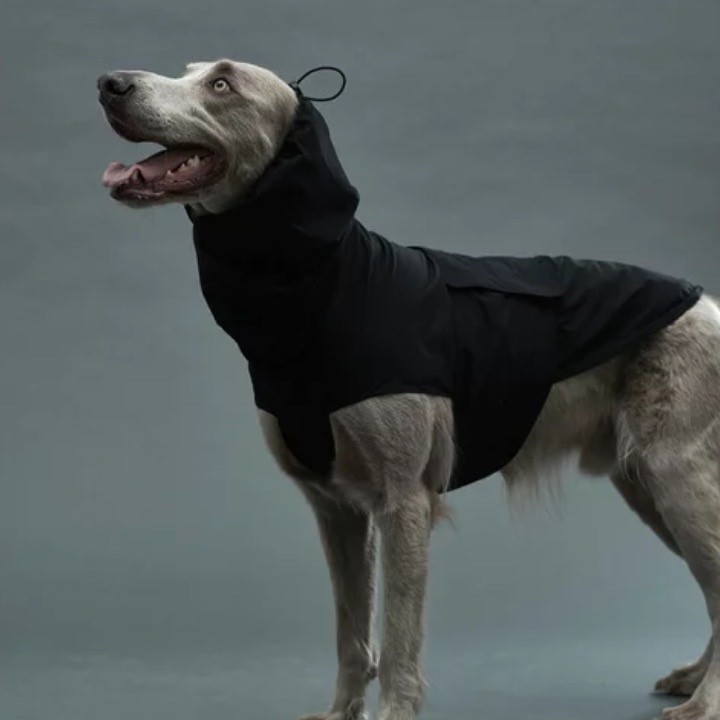 GrisLITE RAIN COAT II PEAT BLACK | 輕量雨衣 ／黑