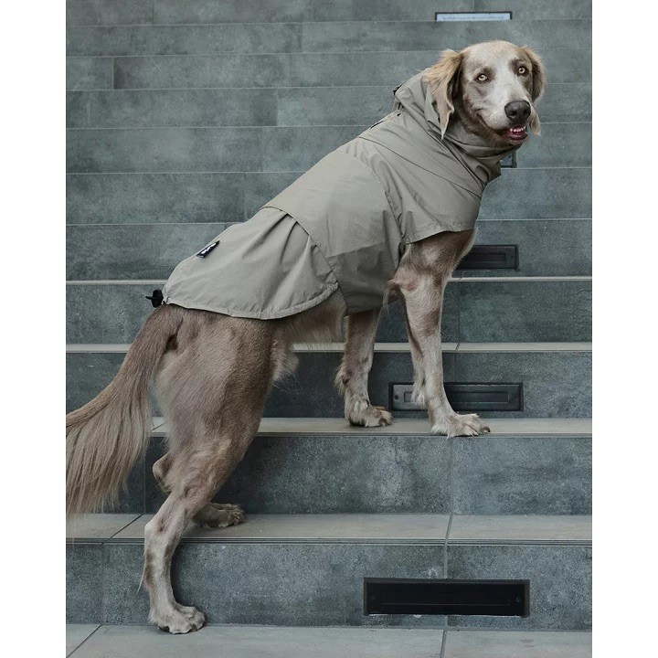 GRIS LITE RAIN COAT II I WEIMARANER GREY  | 輕量雨衣 ／威瑪軍綠