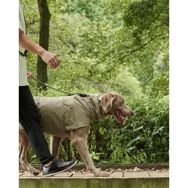 GRIS LITE RAIN COAT II I WEIMARANER GREY  | 輕量雨衣 ／威瑪軍綠