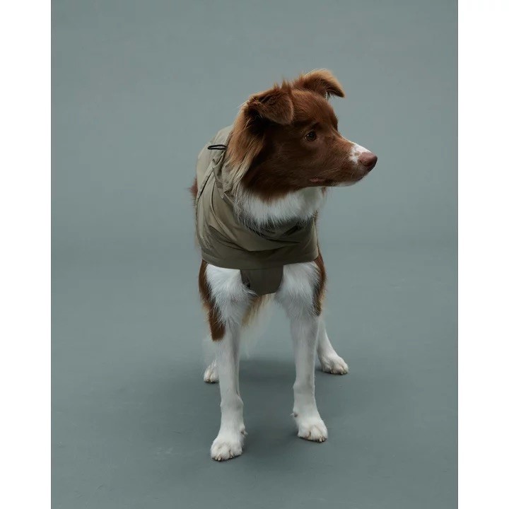 GRIS LITE RAIN COAT II I WEIMARANER GREY  | 輕量雨衣 ／威瑪軍綠