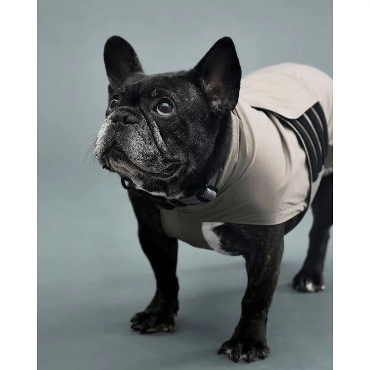 GRIS LITE RAIN COAT II I WEIMARANER GREY  | 輕量雨衣 ／威瑪軍綠