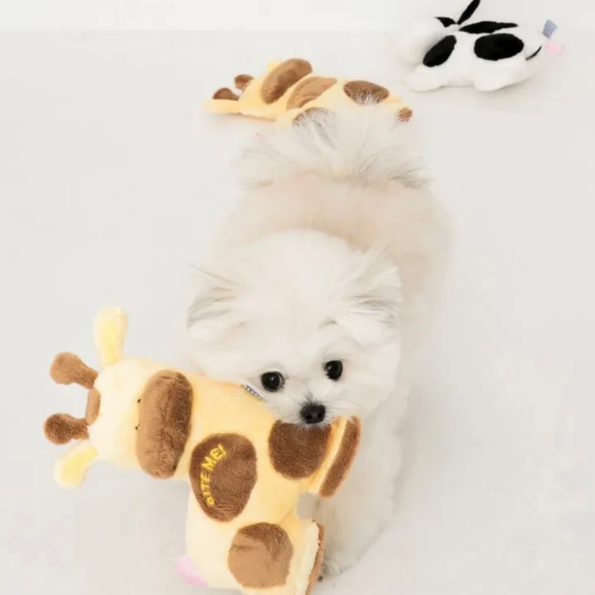 Bite me Bian Bian Deer Toy | 扁扁鹿造型玩具