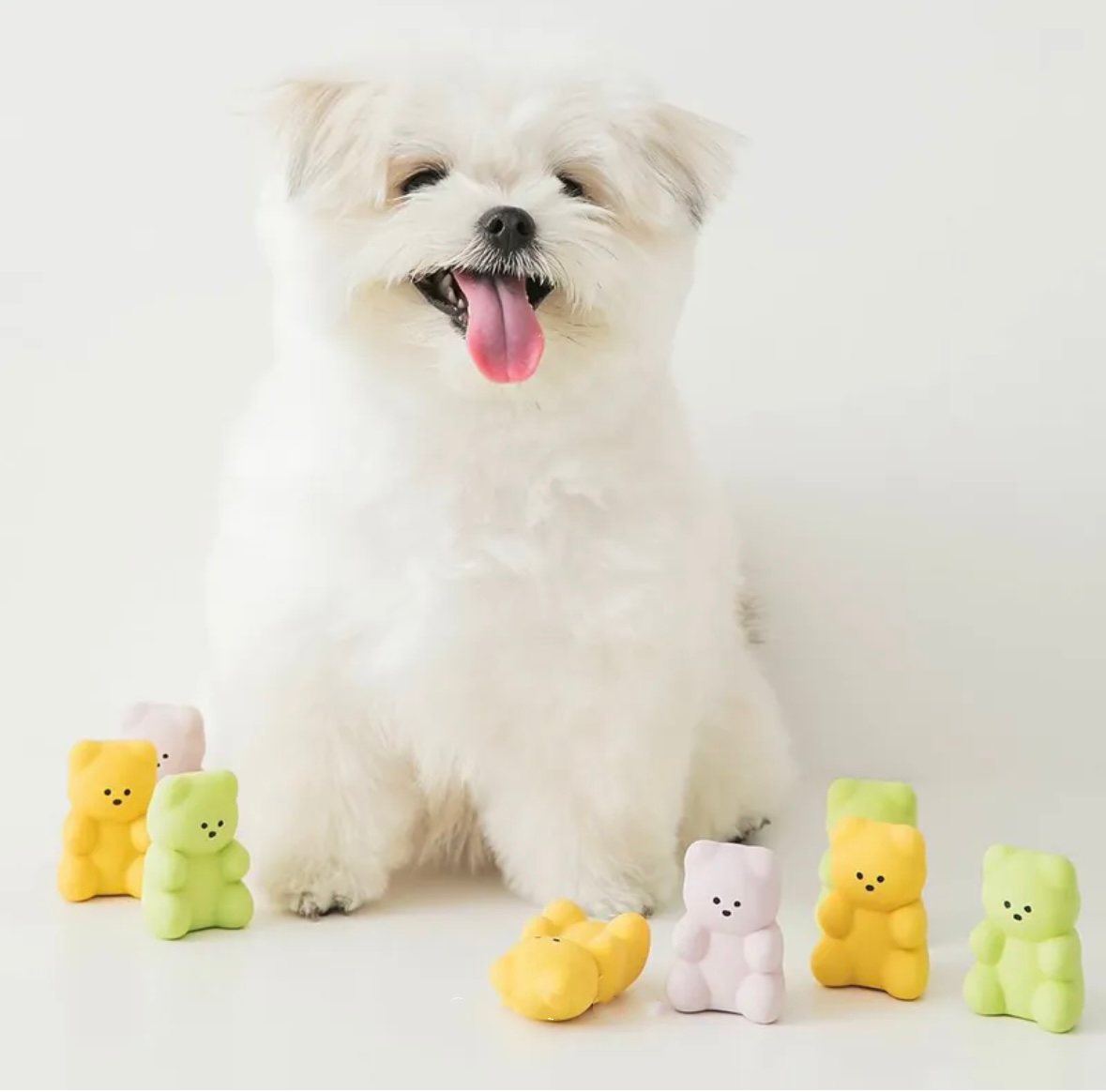 BITE ME QQ小熊(3入組)｜乳膠玩具