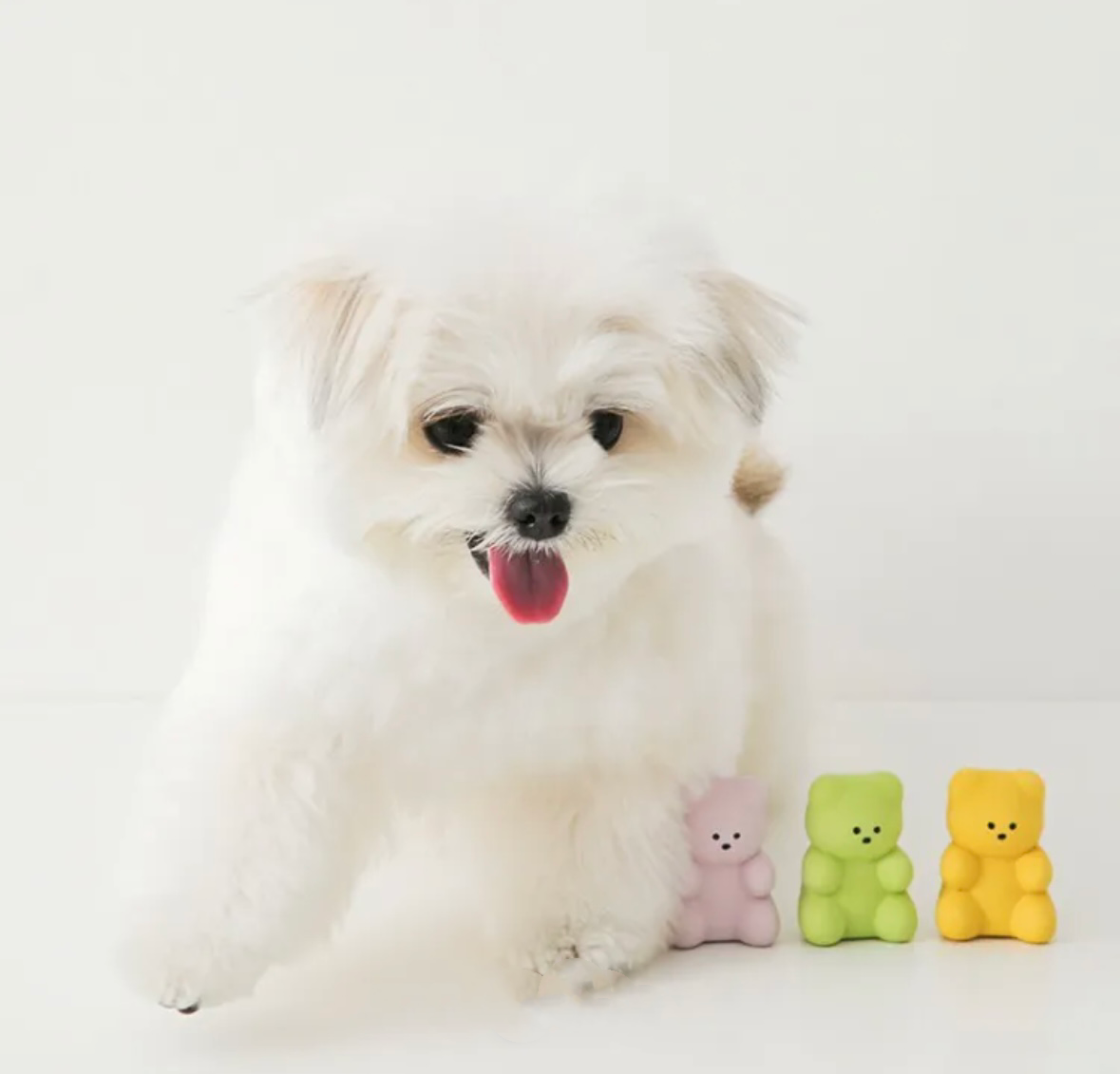 BITE ME QQ小熊(3入組)｜乳膠玩具