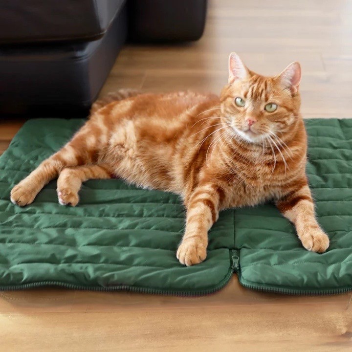 pet storage sleeping bag ｜寵物收納睡袋