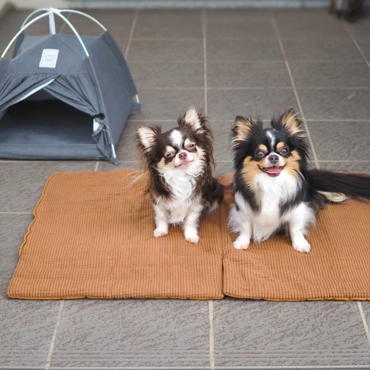 pet storage sleeping bag ｜寵物收納睡袋