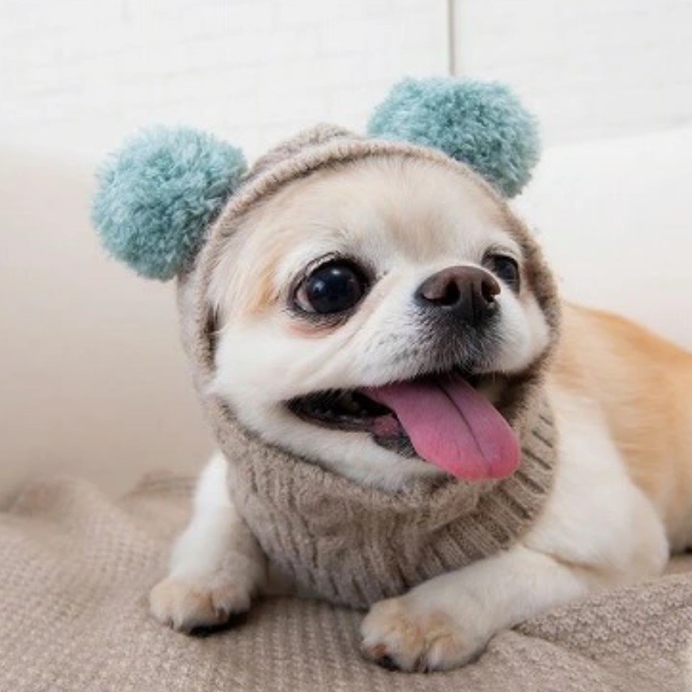 fur ball knitted hat ｜雙毛球針織帽