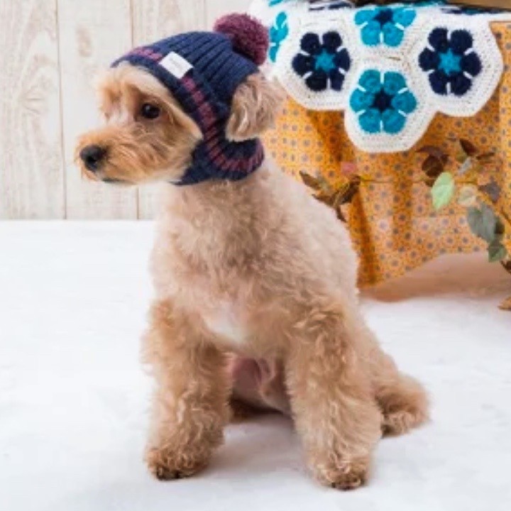 fur ball knitted hat ｜露耳毛球針織帽 