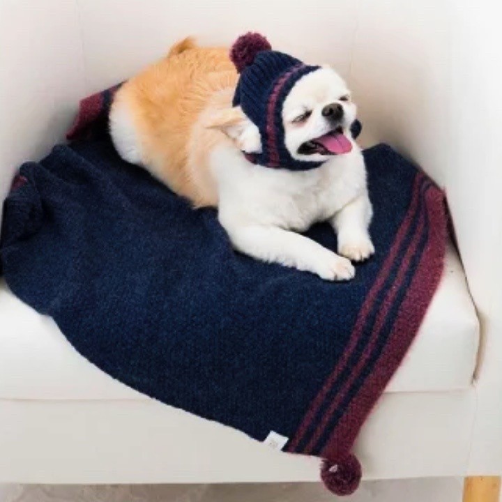 fur ball knitted hat ｜露耳毛球針織帽 