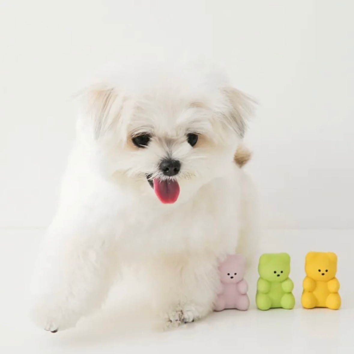 BITE ME QQ小熊(3入組)｜乳膠玩具