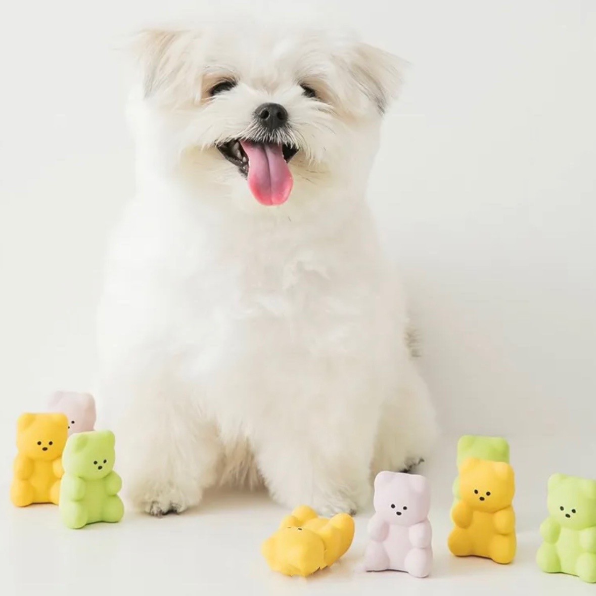 BITE ME QQ小熊(3入組)｜乳膠玩具