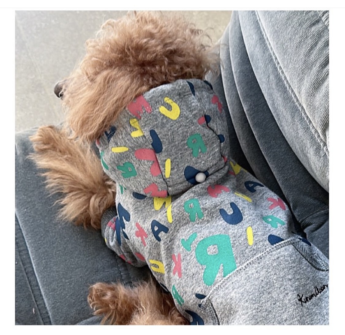 colorful lettered brushed hoodie ｜彩色字母刷毛連帽衫