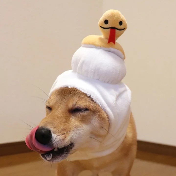 Year of the Snake Headgear ｜蛇年造型頭套