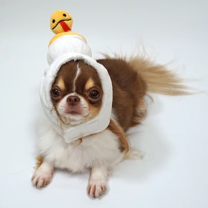 Year of the Snake Headgear ｜蛇年造型頭套