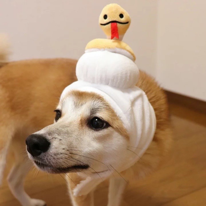 Year of the Snake Headgear ｜蛇年造型頭套