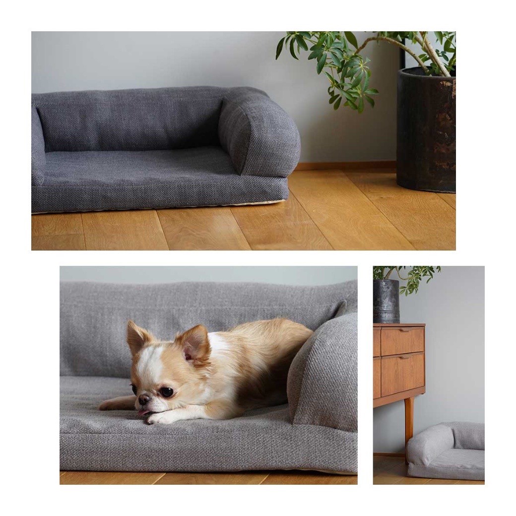 leisure sofa bed ｜休閒沙發床