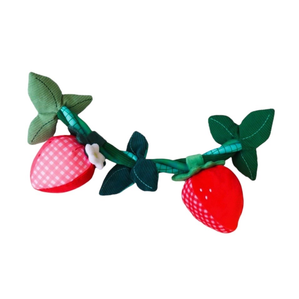 Strawberry wreath in strawberry field ｜草莓園裡的草莓圈玩具