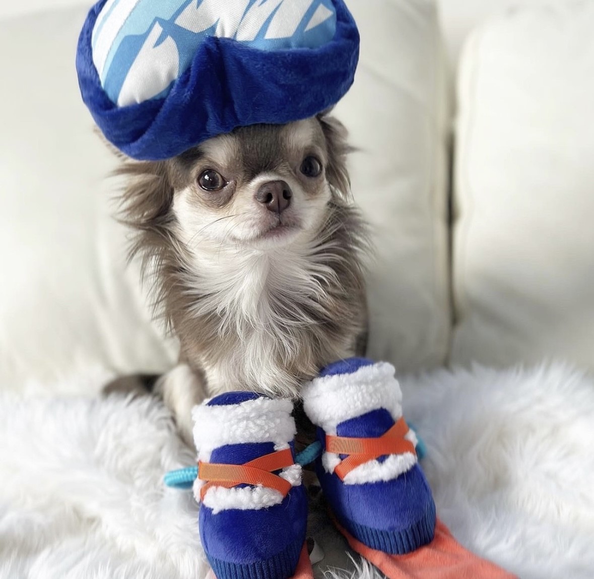 Snow season snowboard shoes ｜雪季滑雪板鞋玩具