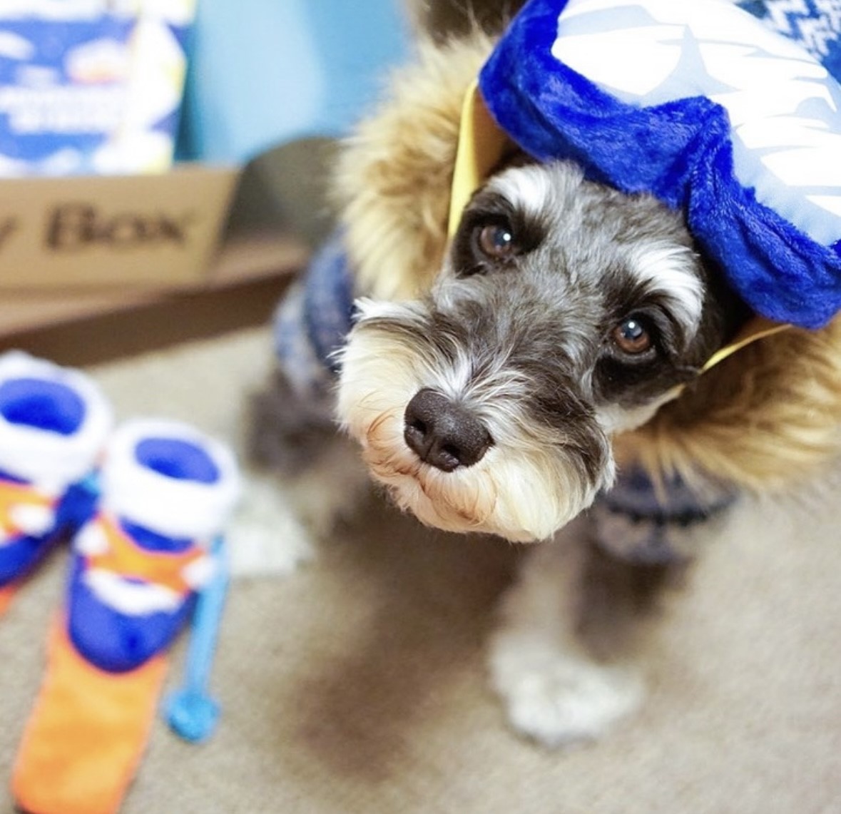 Snow season snowboard shoes ｜雪季滑雪板鞋玩具