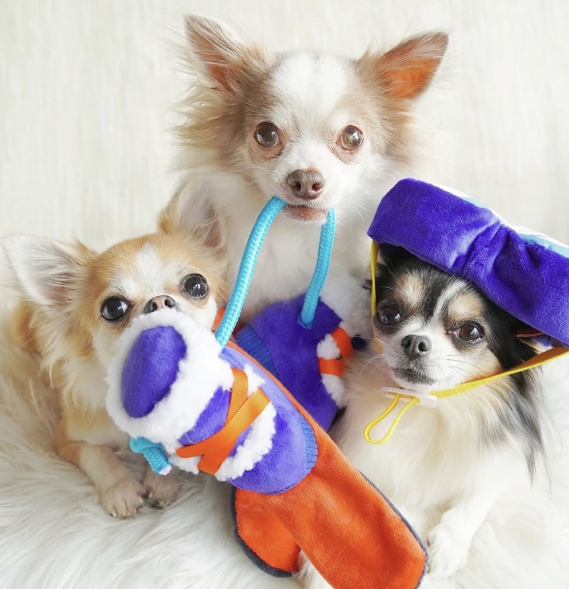 Snow season snowboard shoes ｜雪季滑雪板鞋玩具