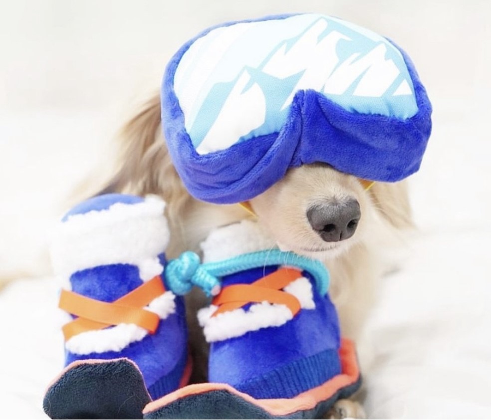 Snow season snowboard shoes ｜雪季滑雪板鞋玩具