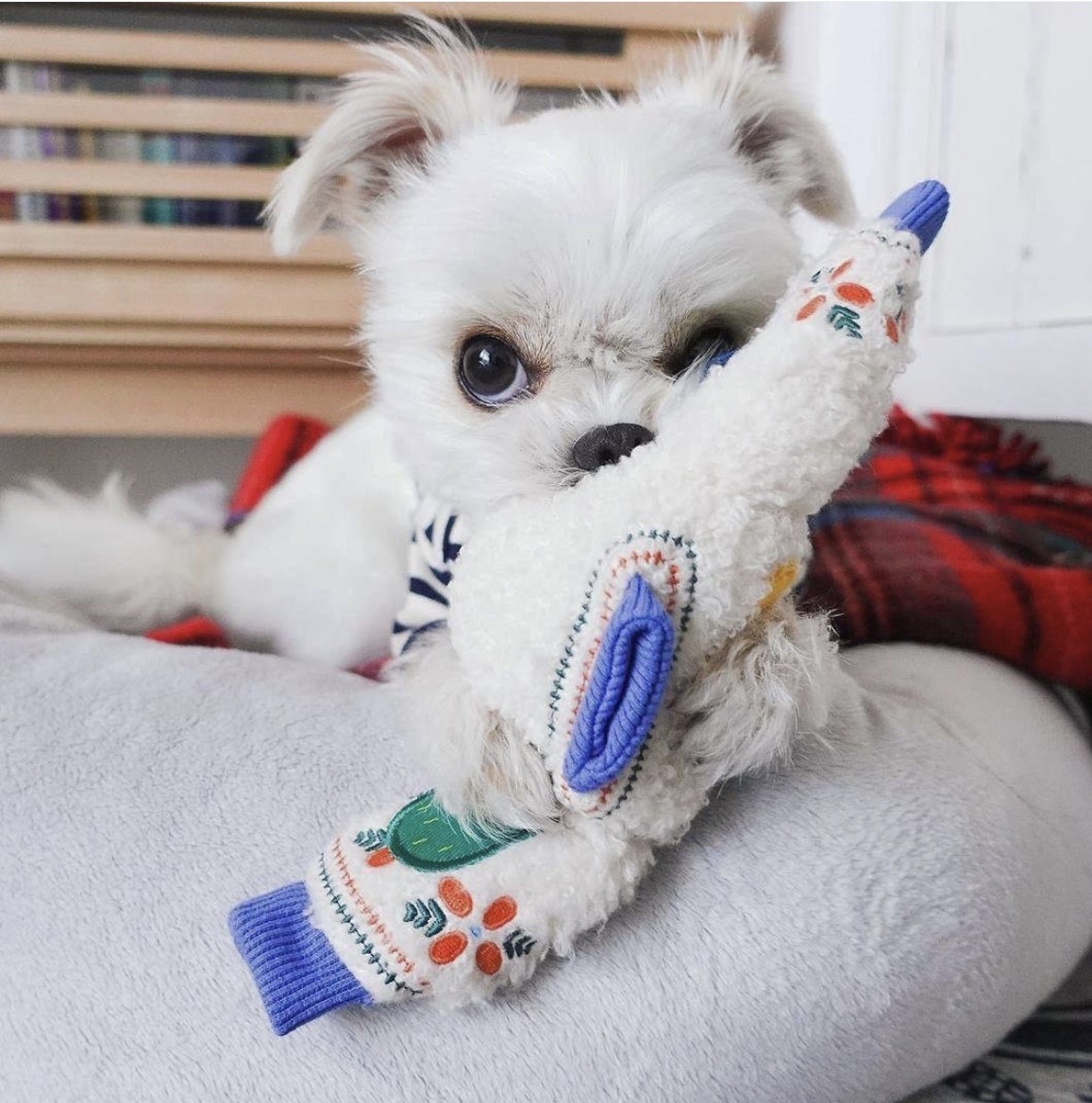 embroidered sweater toy ｜刺繡毛衣玩具