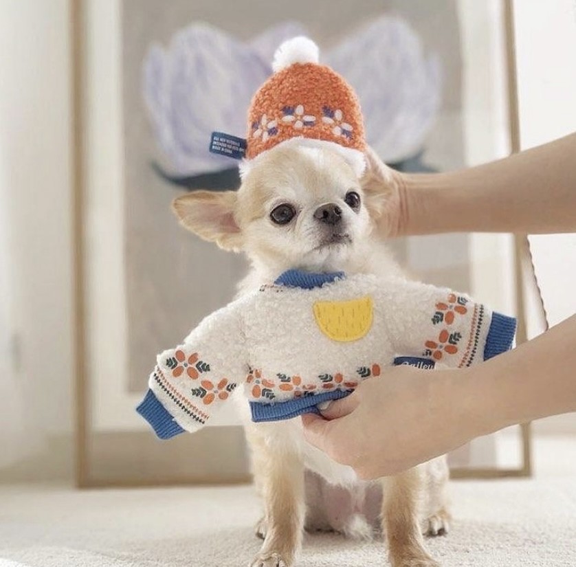 embroidered sweater toy ｜刺繡毛衣玩具