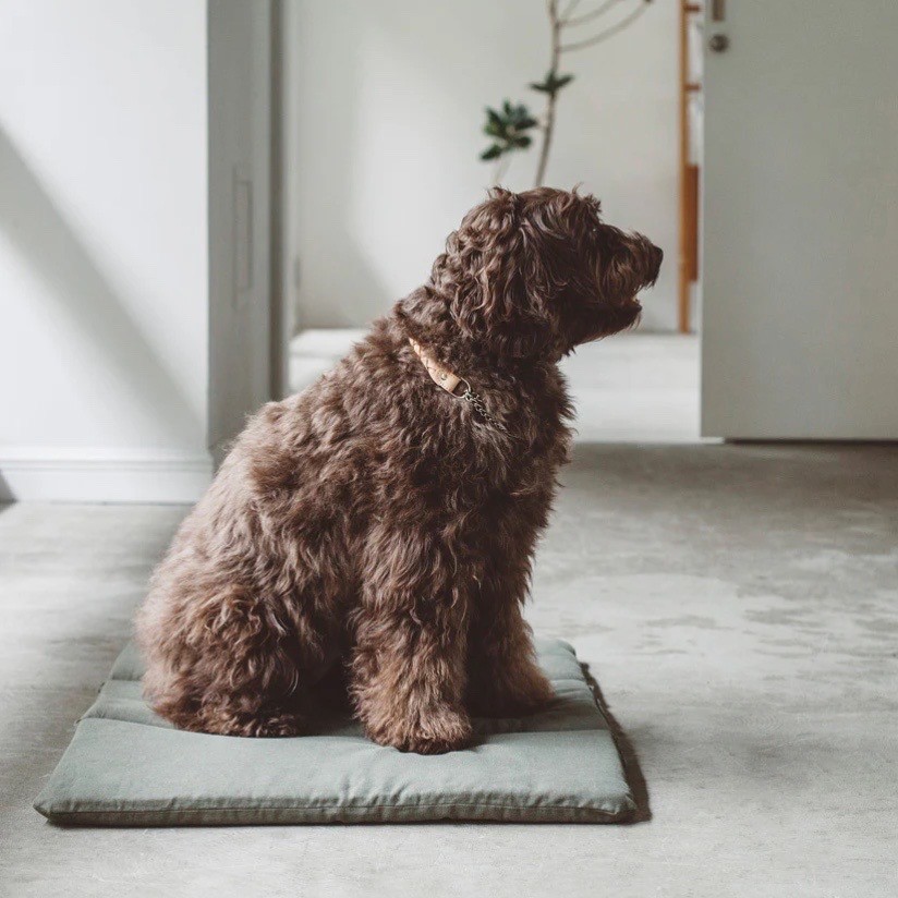 Portable Cushioned Soft Mat |  攜帶式軟墊