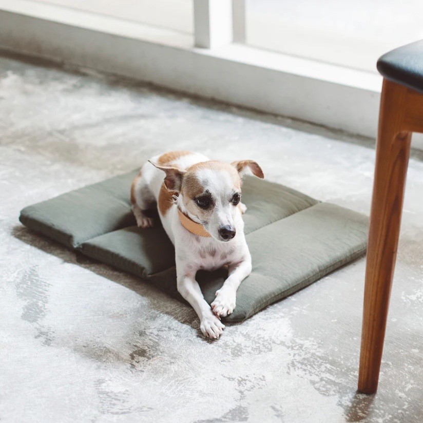 Portable Cushioned Soft Mat |  攜帶式軟墊